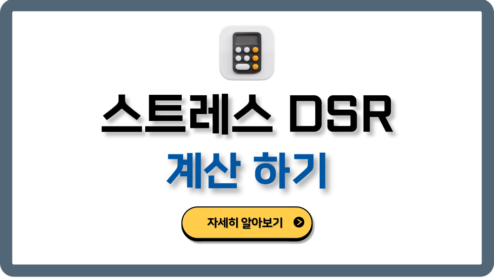 스트레스DSR계산제도도입시행